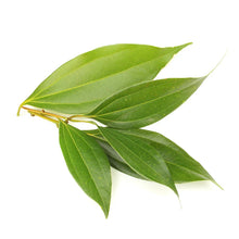 Load image into Gallery viewer, Autumn Spice