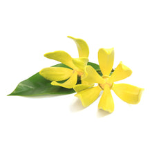 Load image into Gallery viewer, Floral Bouquet